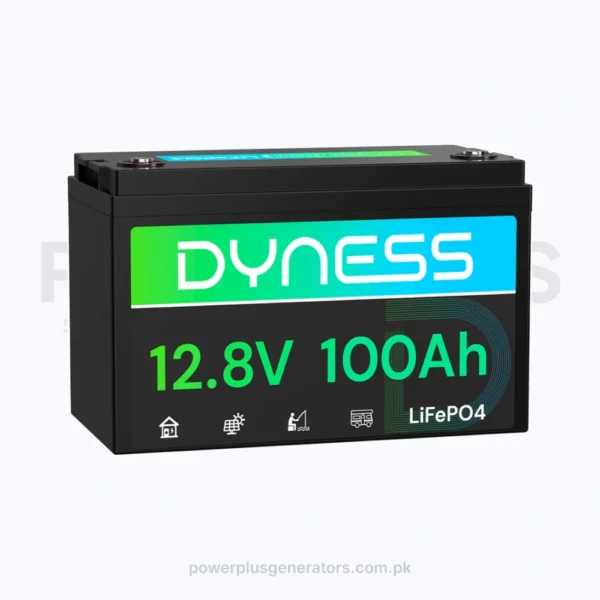 Dyness 12.8V 100Ah LiFePO4 Battery