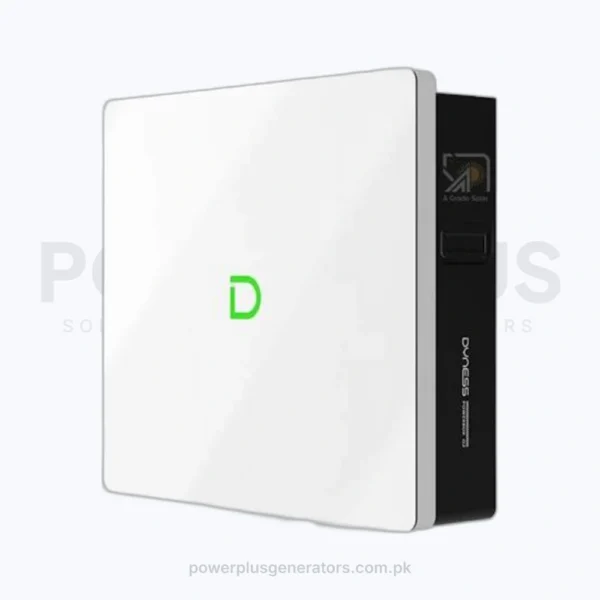 Dyness 5kWh 100A IP20 Lithium Battery
